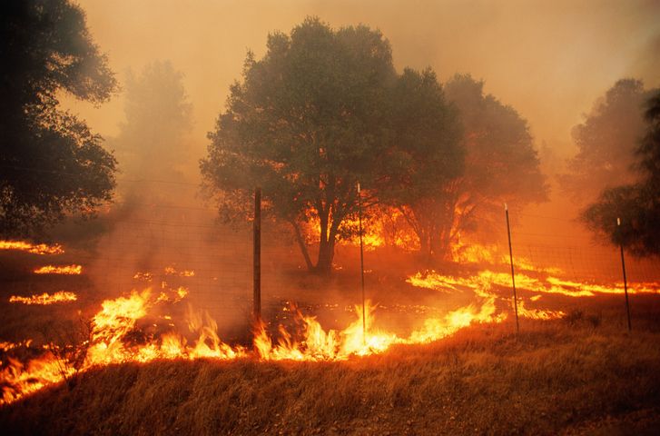wildfire