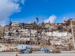 wildfire aftermath
